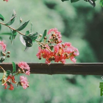 国内最大竞彩跟单APP