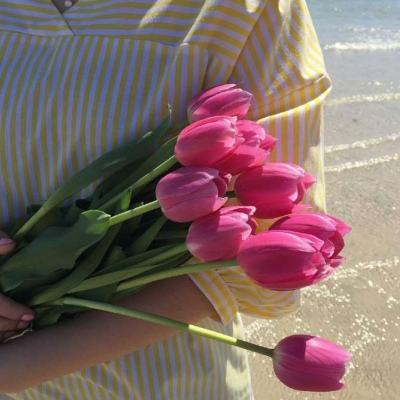 威尼斯欢乐娱人棋牌app下载