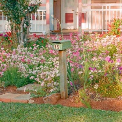 半岛官方下载入口